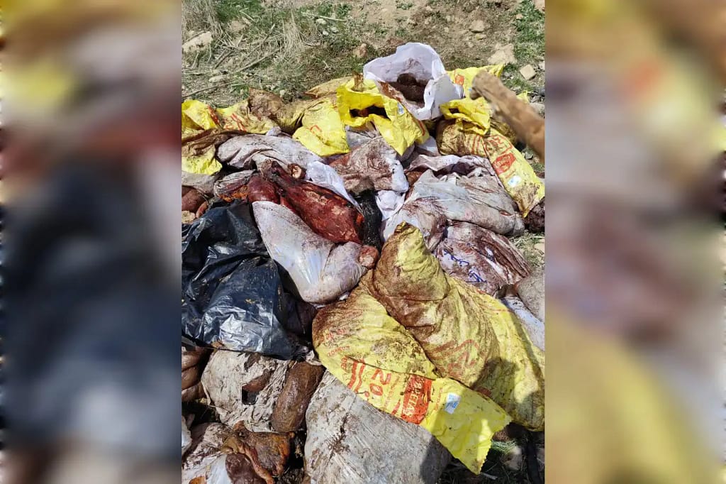 Mardin’de at ve eşek kesimi: Şüpheli gözaltında